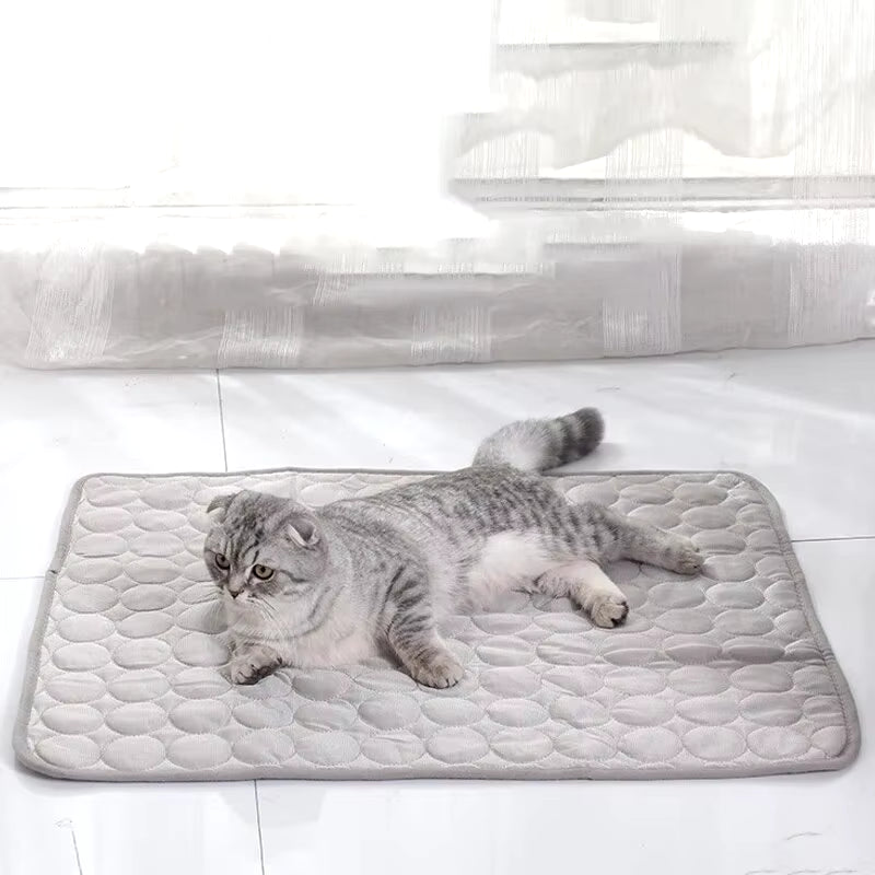 Cooling Pet Ice Mat for Cats and Dogs - Durable Summer Sleeping Pad for Small Pets
